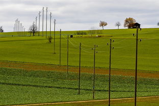 乐鱼体育网址入口-球员体能负荷评估工具上线助力教练科学制定训练计划，体育负荷强度