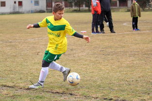 乐鱼体育-五大联赛观众情绪波动与主队表现高度相关，五大联赛 观众