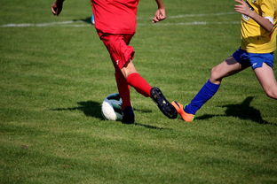 乐鱼官网-国家队教练参加国际战术研讨会 学习先进理念，他是一位出色的有丰富训练经验的国家队教练